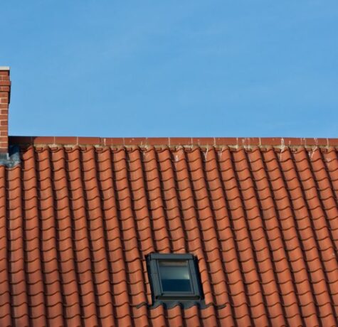 10041057   tiles roof